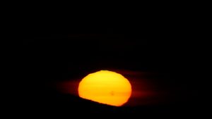 sun day II sun day II