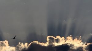 rayos crepusculares rayos crepusculares