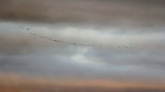 un mes de color 2/11 un mes de color 2/11