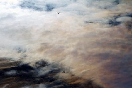 un mes de color 5/11 un mes de color 5/11