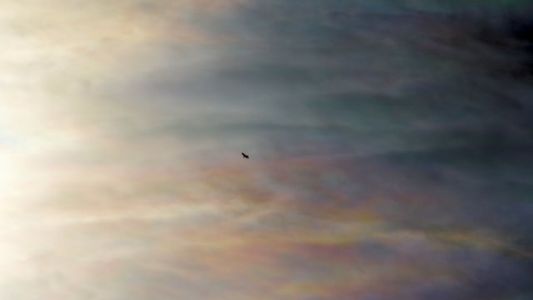 un mes de color 6/11 un mes de color 6/11