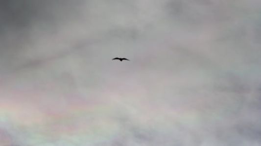 un mes de color 7/11 un mes de color 7/11