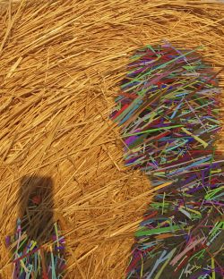 autorretrato de un hombre de paja