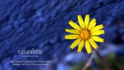 naturalezas naturalezas