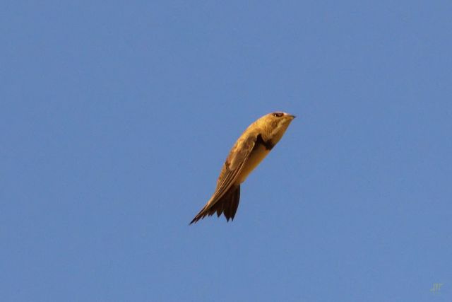 en el banco de imágenes <a href='https://www.istockphoto.com/es/portfolio/perezrayego?assettype=image&mediatype=photography&sort=best'>IStock</a>